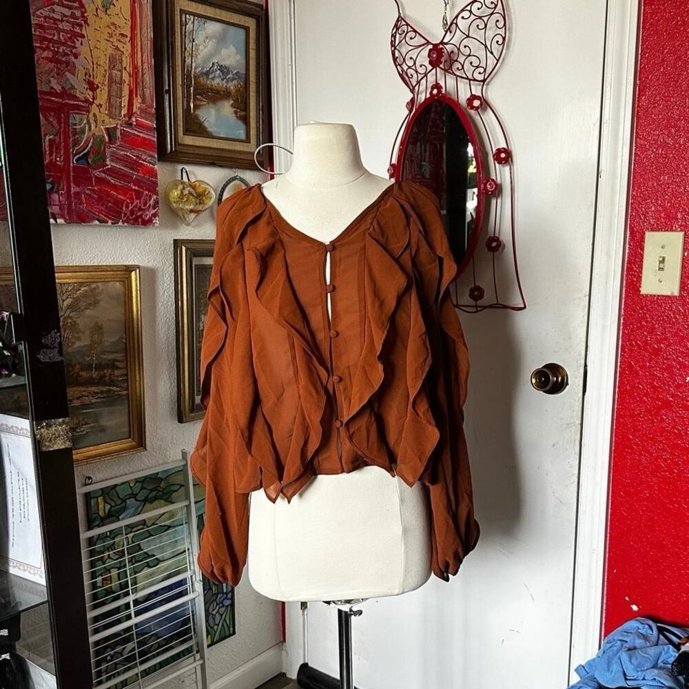 no brand brown sheer blouse long sleeve